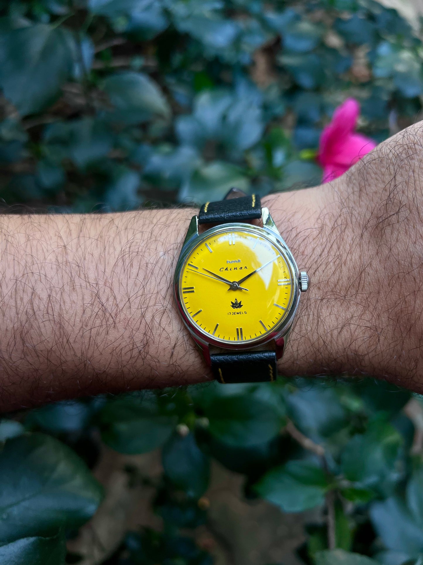 HMT Yellow Chinar Unisex Rare - Mod Watch