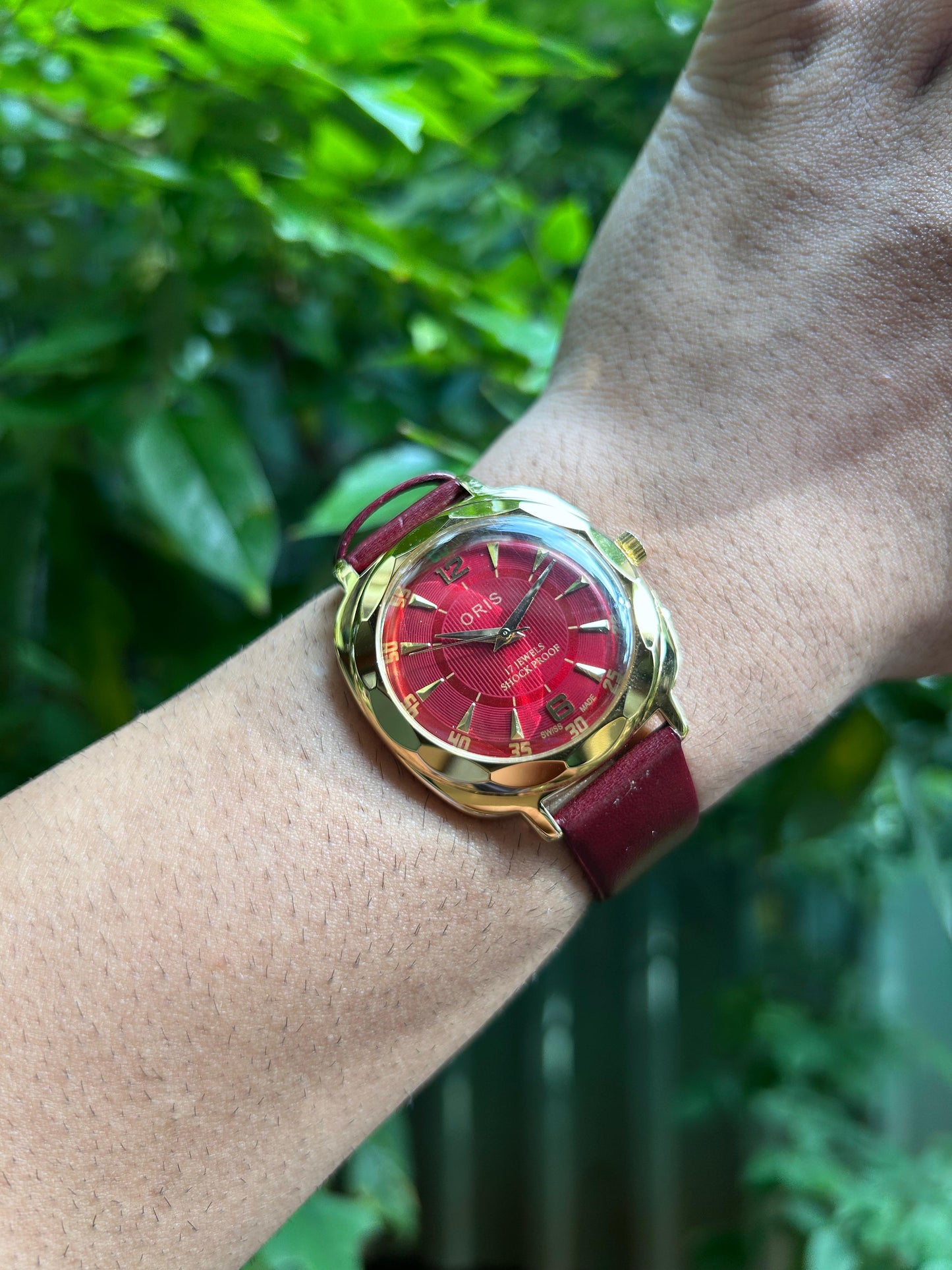 Panerai Oris - Gold 3