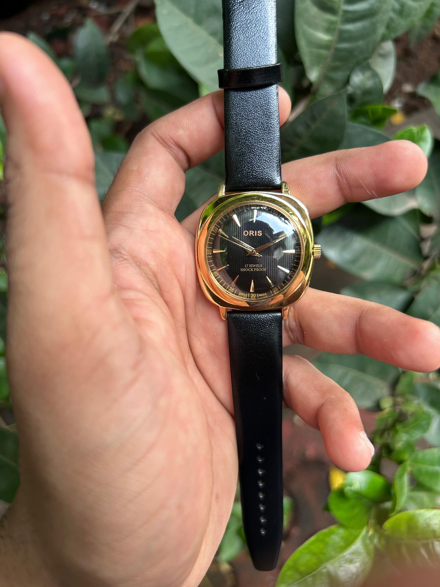 Panerai Oris - Gold 2