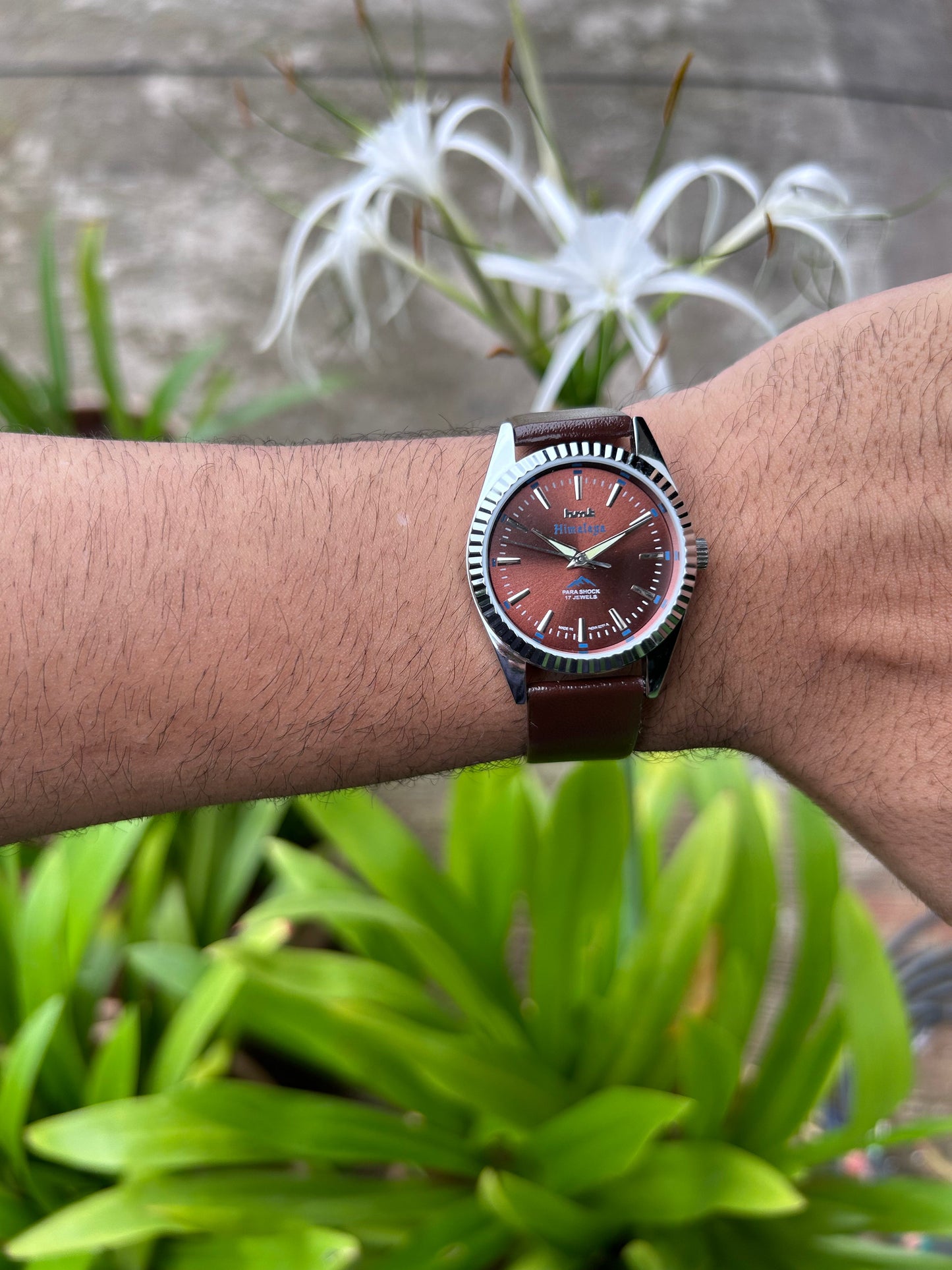 HMT Himalaya Black Sunburst Unisex - Watch