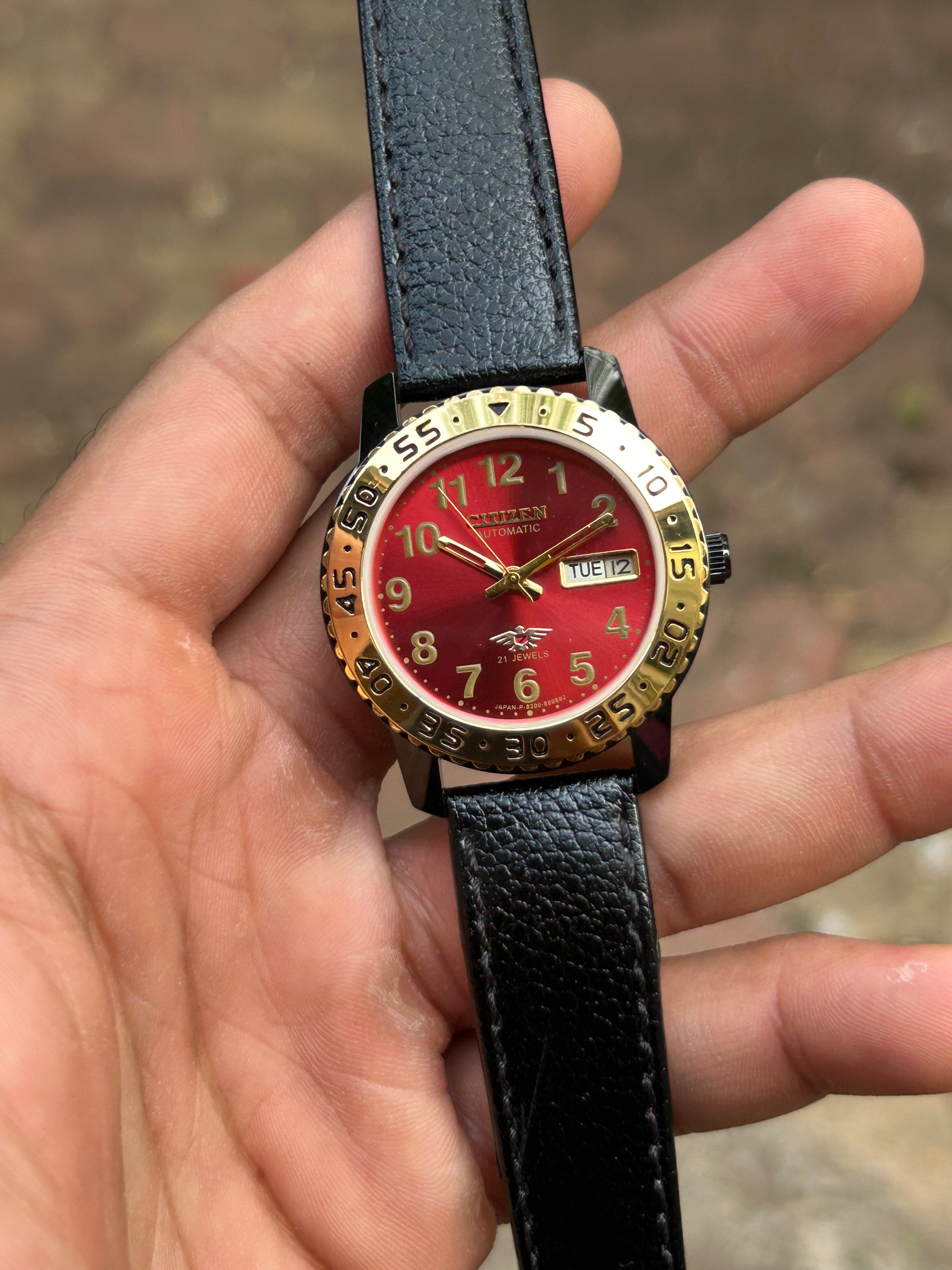 Dual Time Citizen Automatic Gold-Red Sunray