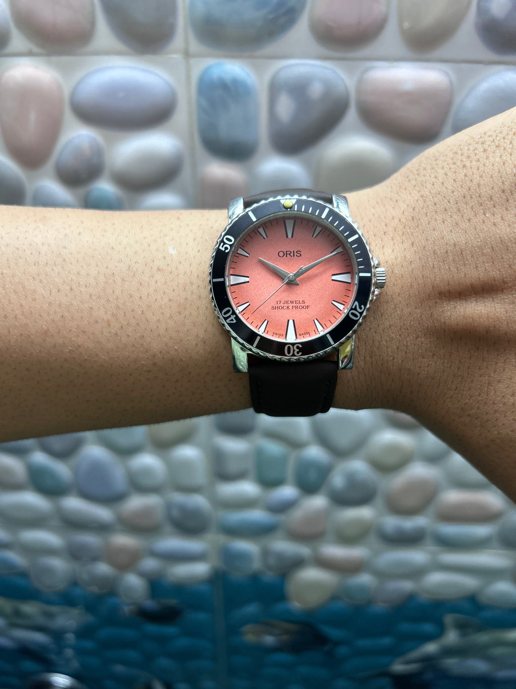 Oris Salmon Custom Mod