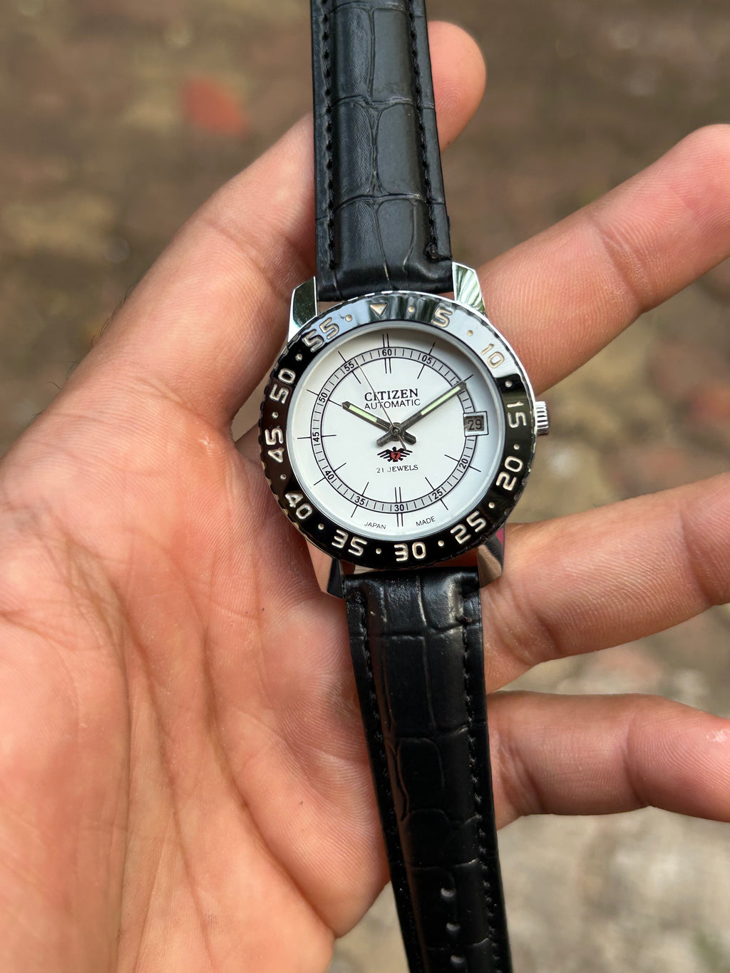 Dual Time Citizen Automatic- White Sunray