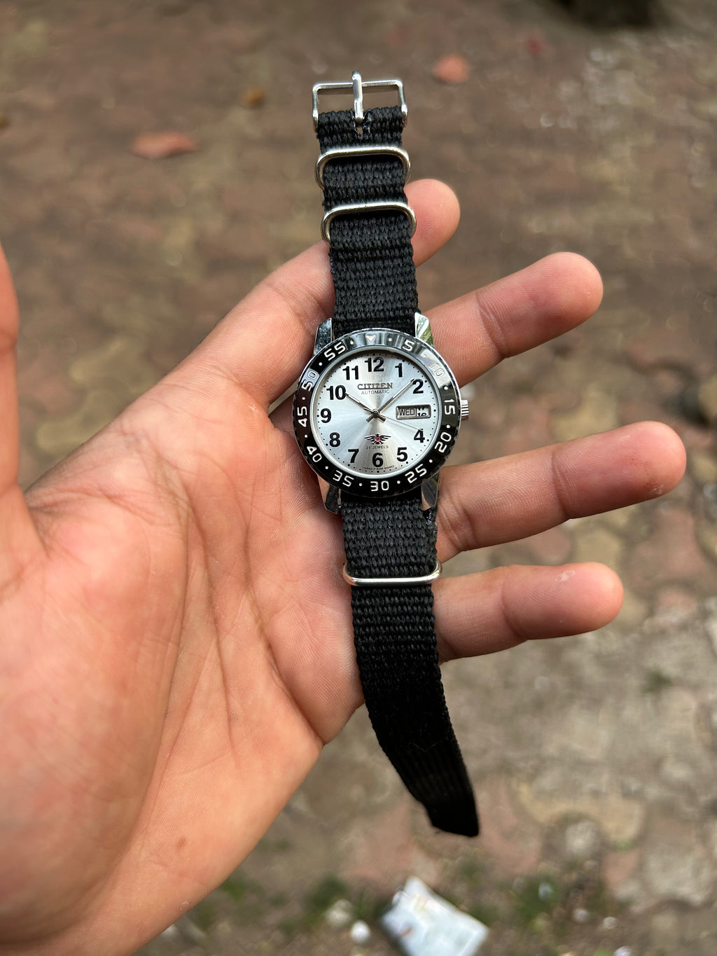 Dual Time Citizen Automatic -Silver Sunray