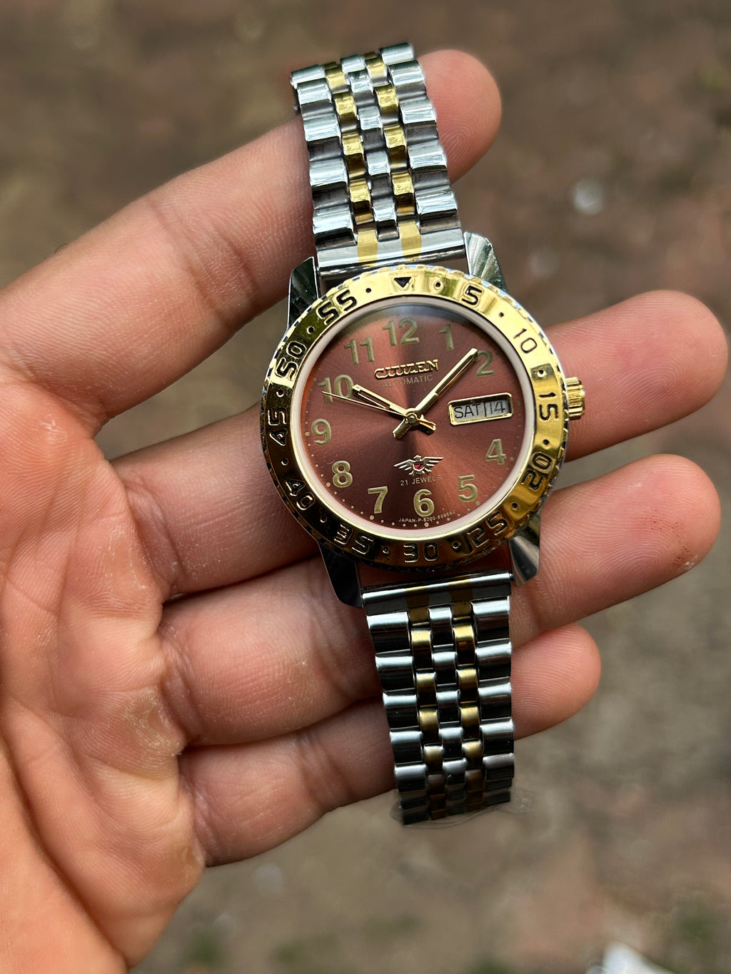 Dual Time Citizen Automatic -Brown Sunray