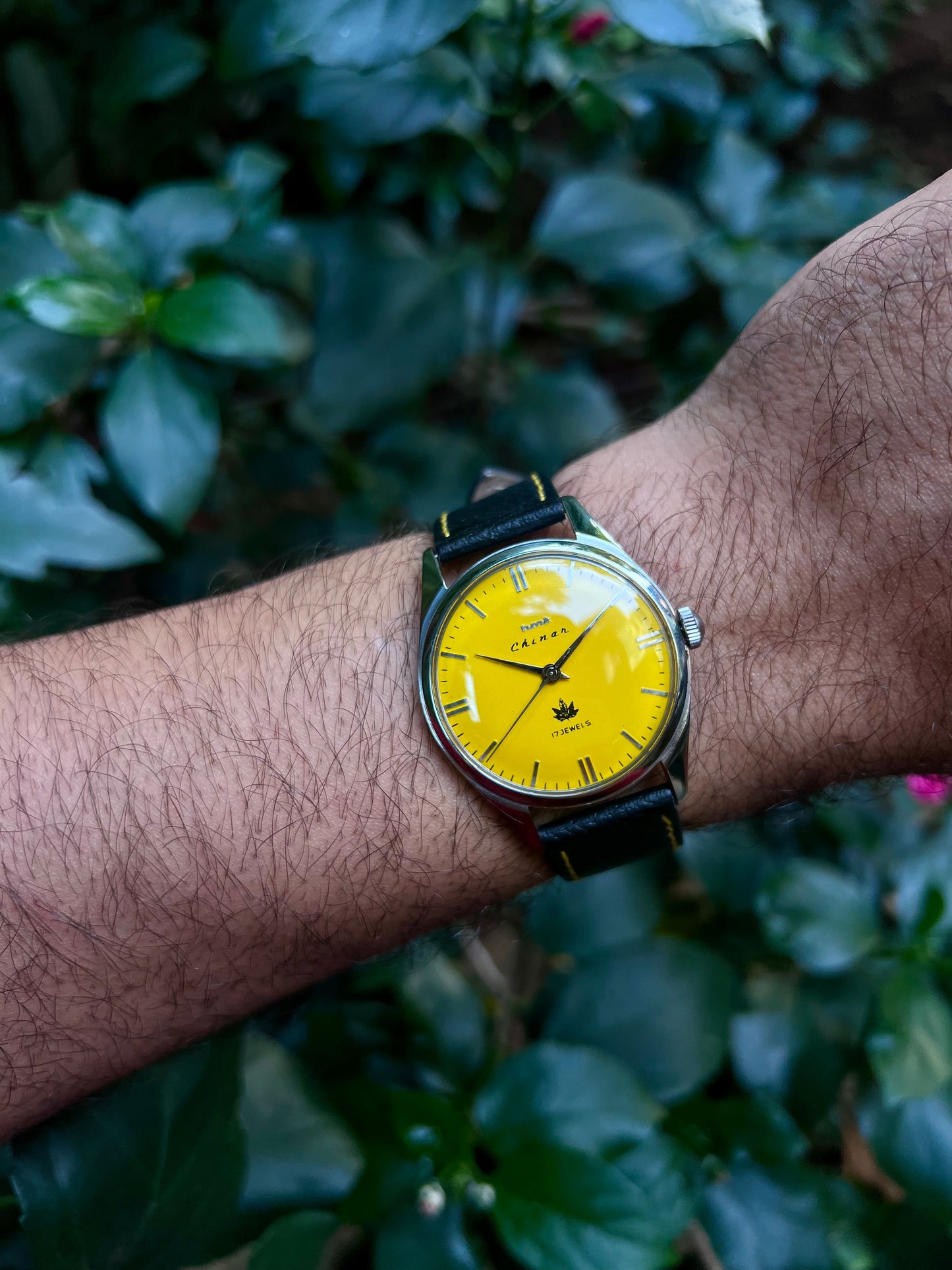 HMT Yellow Chinar Unisex Rare - Mod Watch