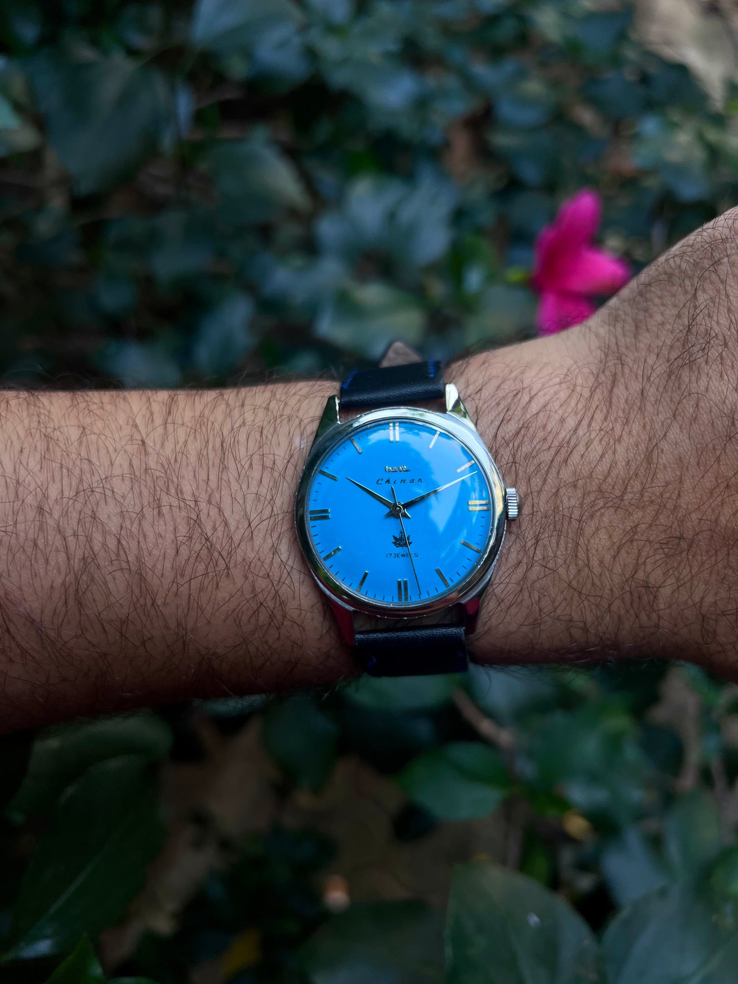 HMT Black Chinar Unisex Rare - Mod Watch
