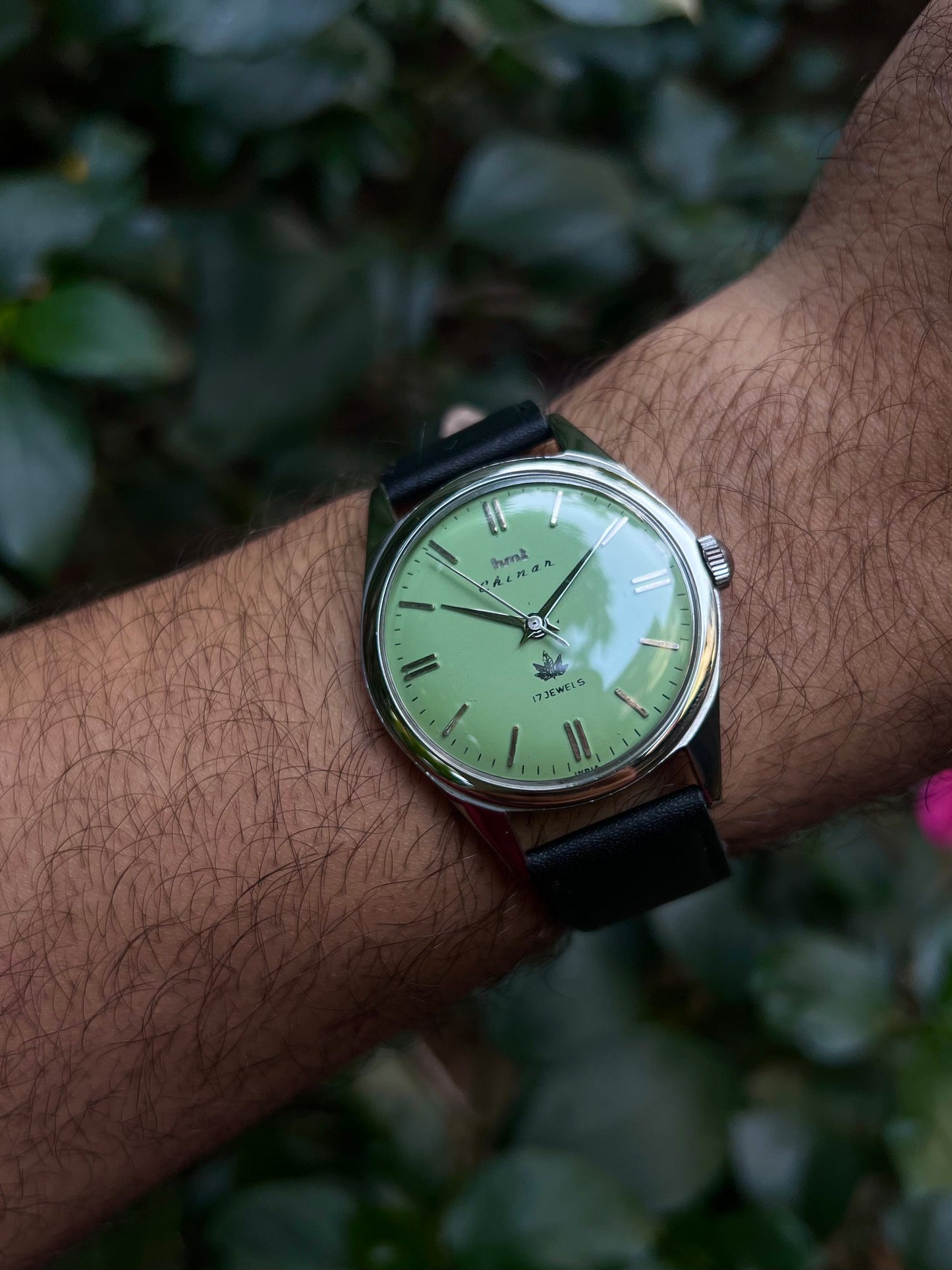 HMT Pista Chinar Unisex Rare - Mod Watch