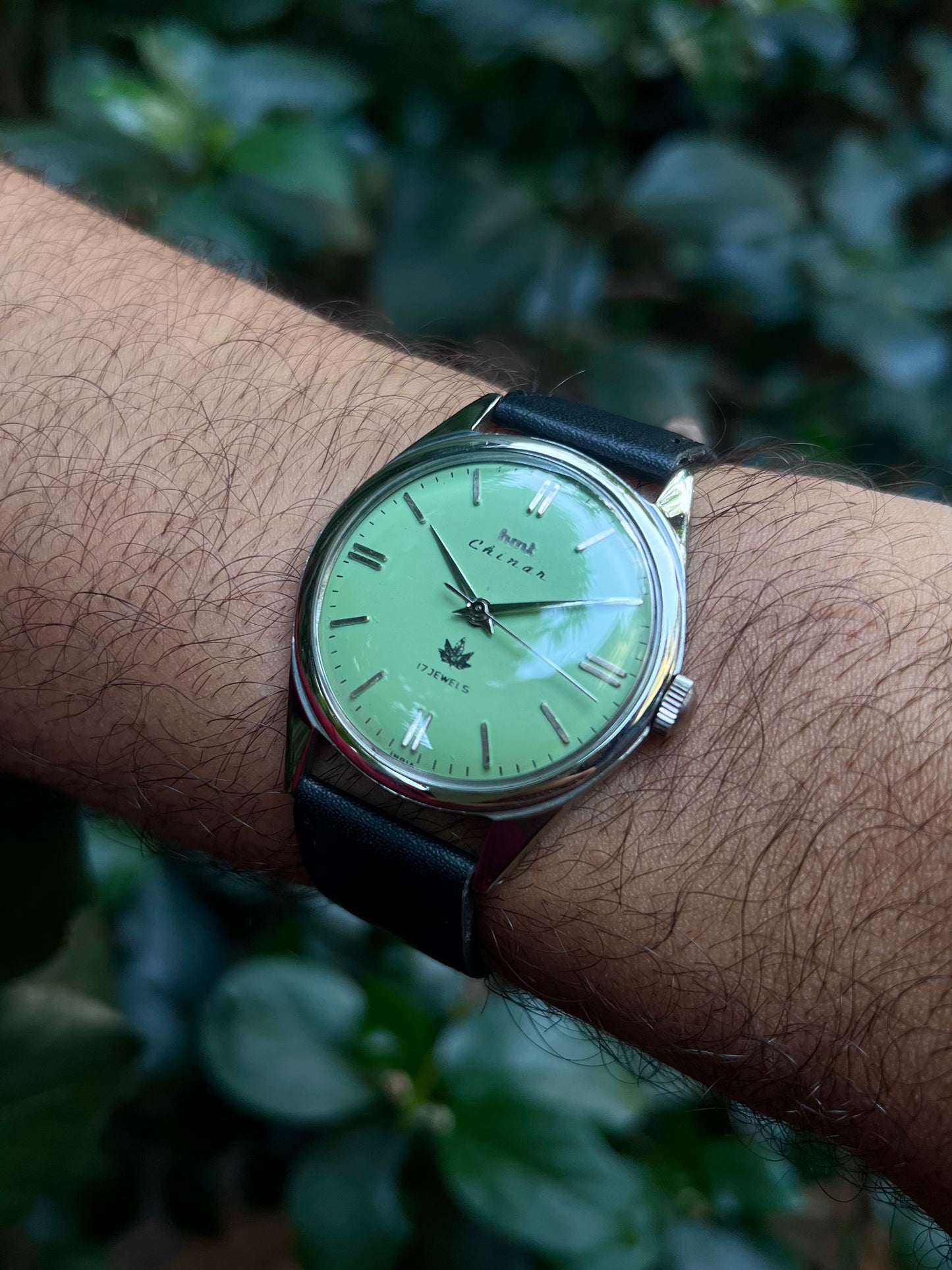 HMT Pista Chinar Unisex Rare - Mod Watch