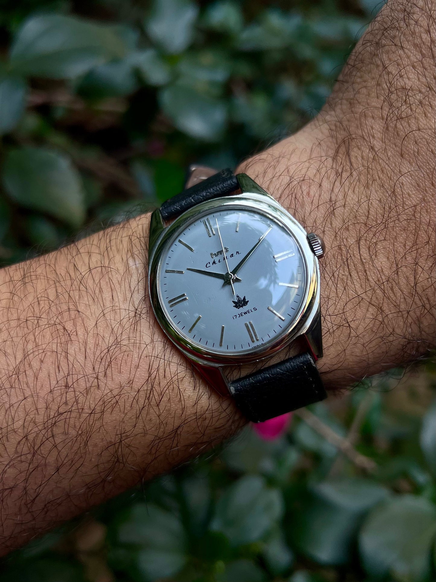 HMT Black Chinar Unisex Rare - Mod Watch