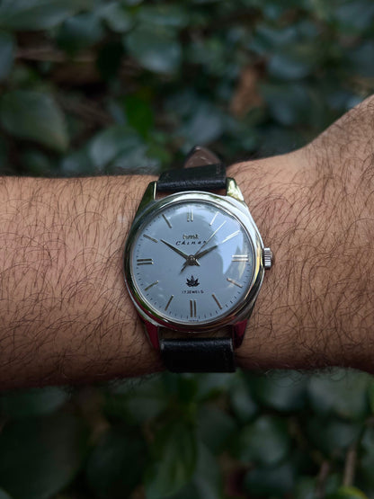 HMT Grey Chinar Unisex Rare - Mod Watch
