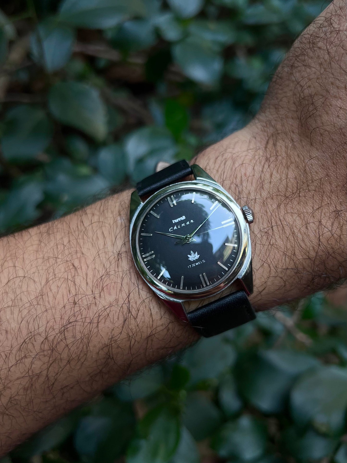 HMT Black Chinar Unisex Rare - Mod Watch