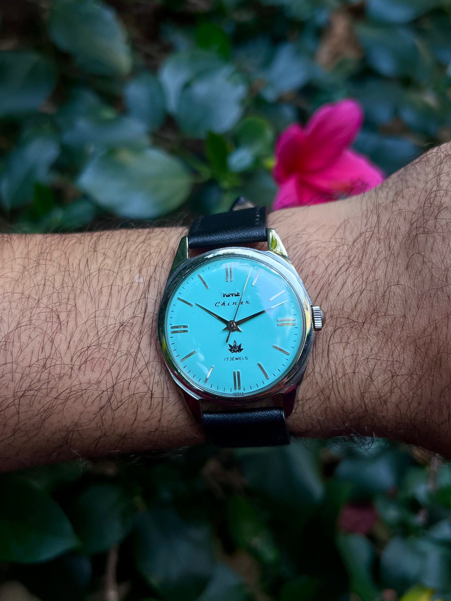 HMT Tiffany Blue Chinar Unisex Rare - Mod Watch