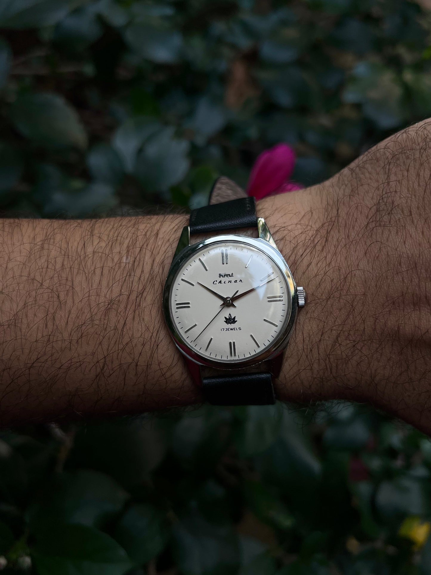 HMT Off White Chinar Unisex Rare - Mod Watch