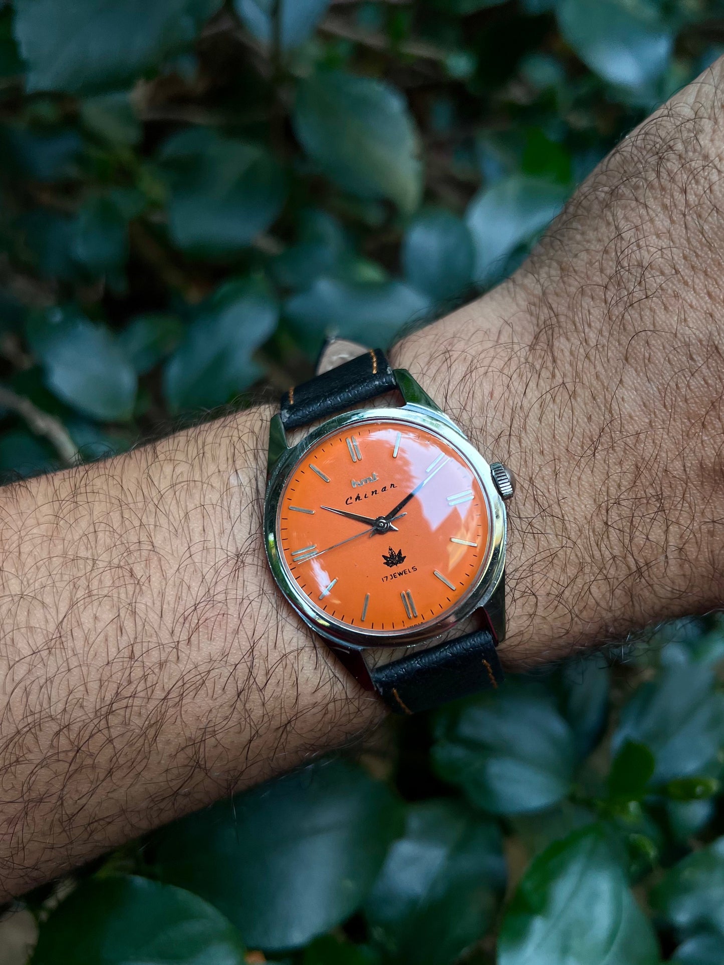 HMT Black Chinar Unisex Rare - Mod Watch
