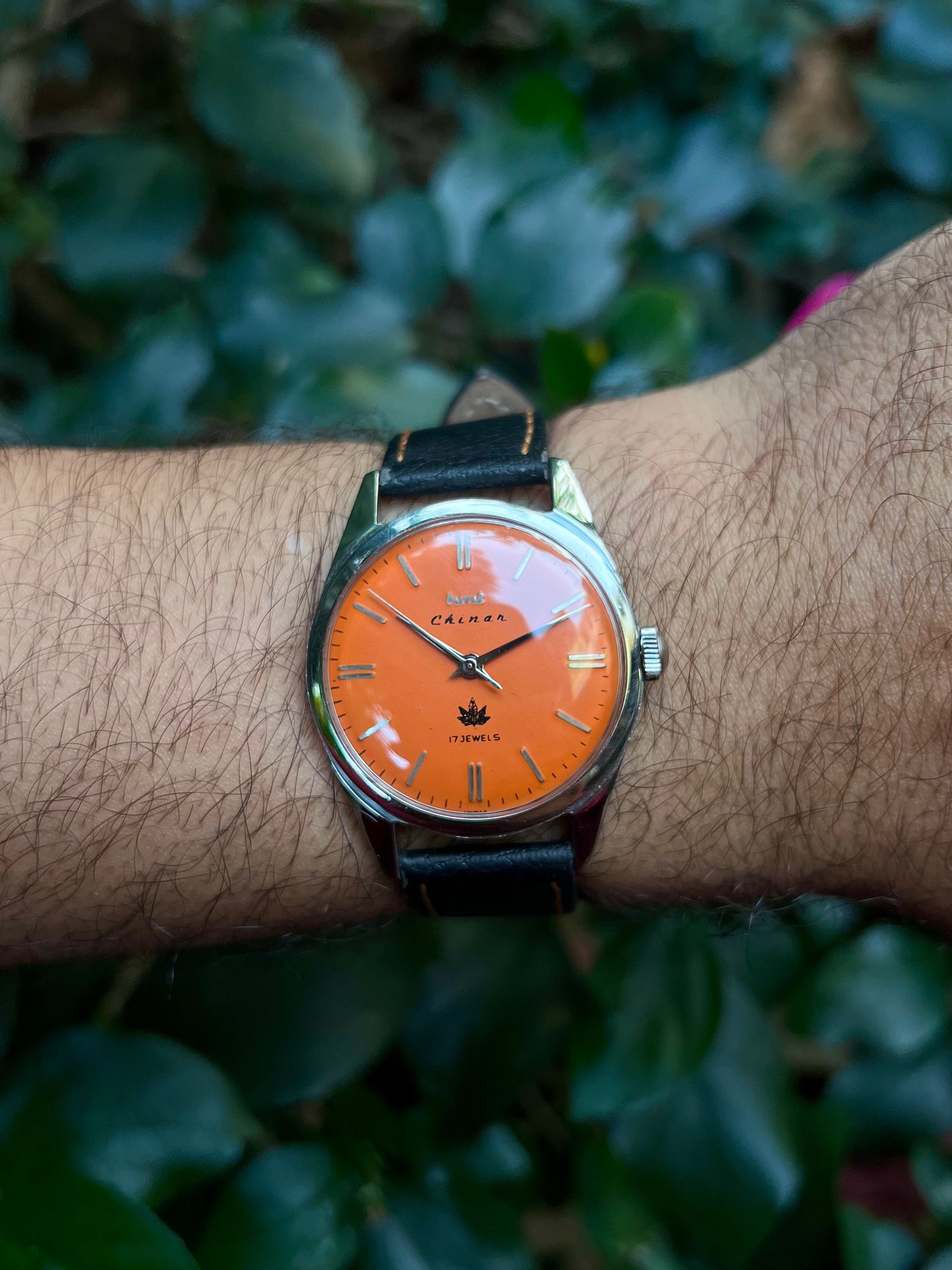 HMT Orange Chinar Rare - Mod Watch