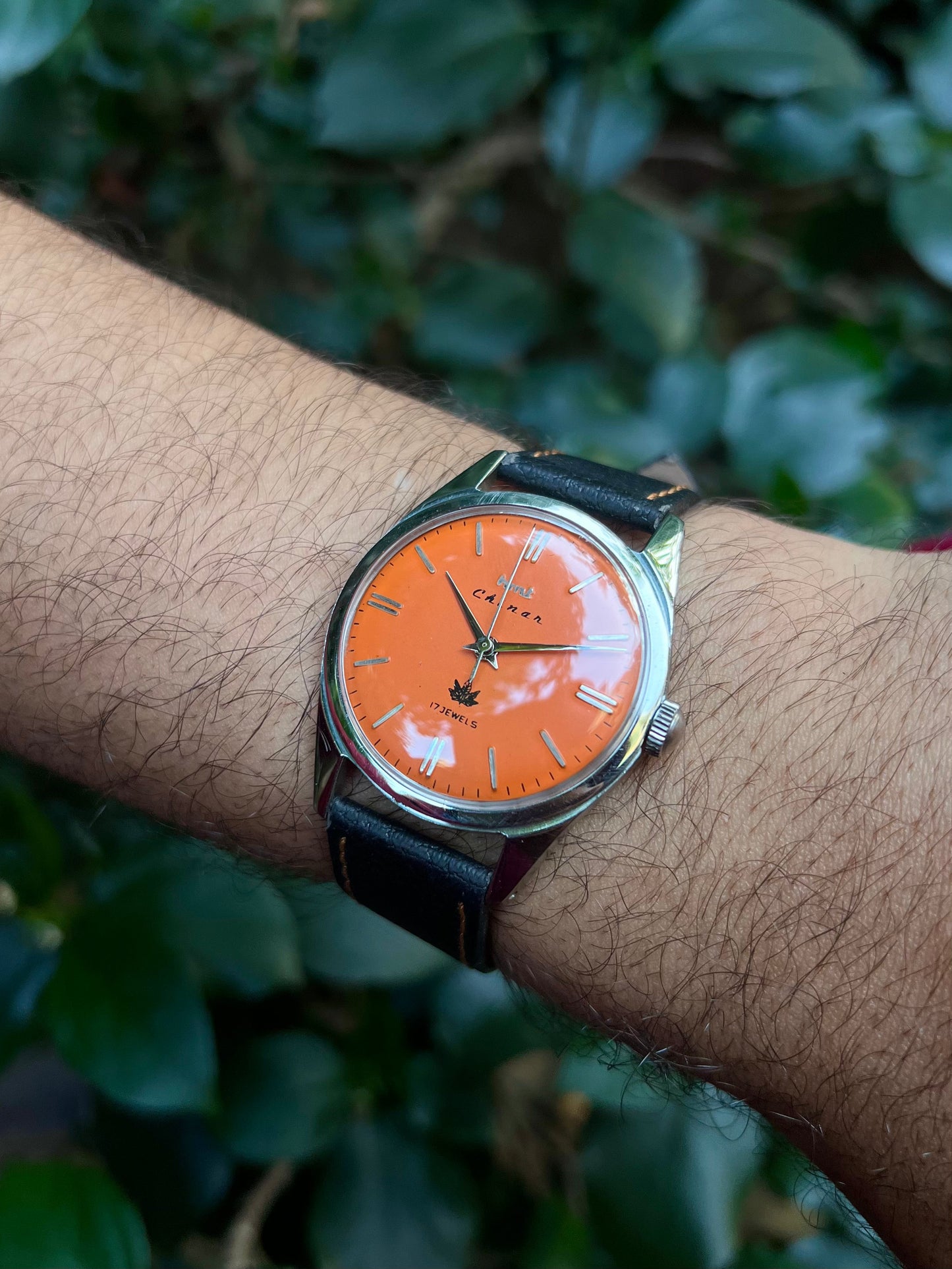 HMT Orange Chinar Rare - Mod Watch