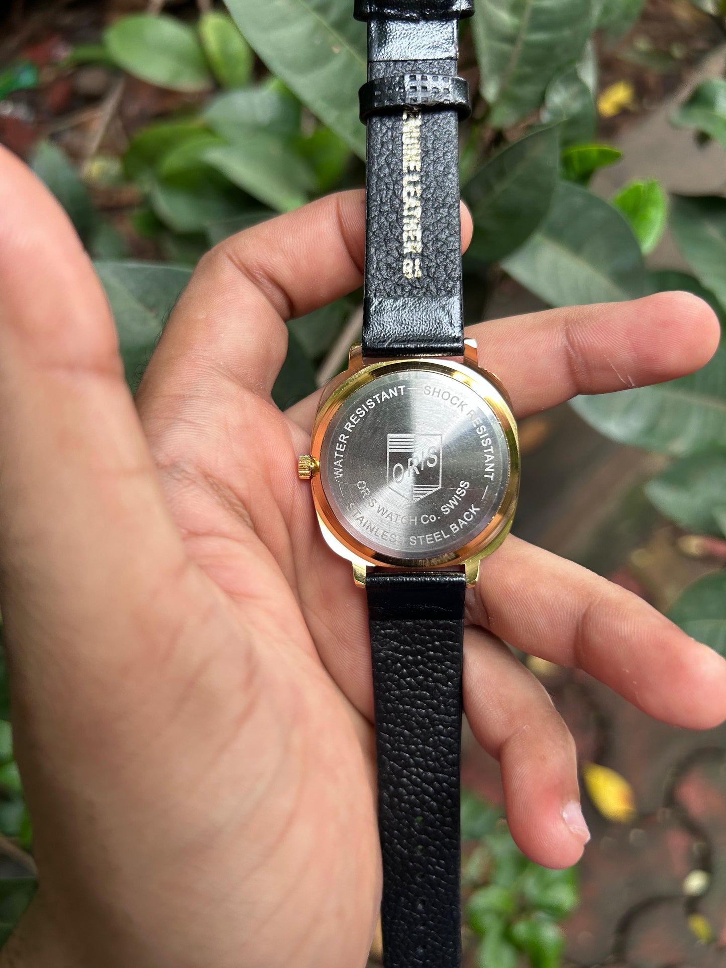 Panerai Oris -  Gold 5