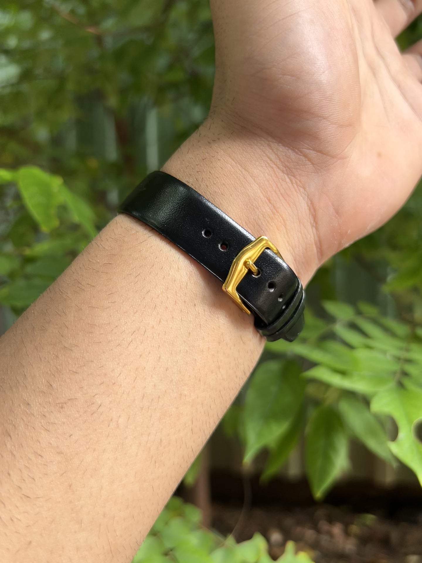 ORIS PANERAI GOLD SWISS - BLACK SUNBURST