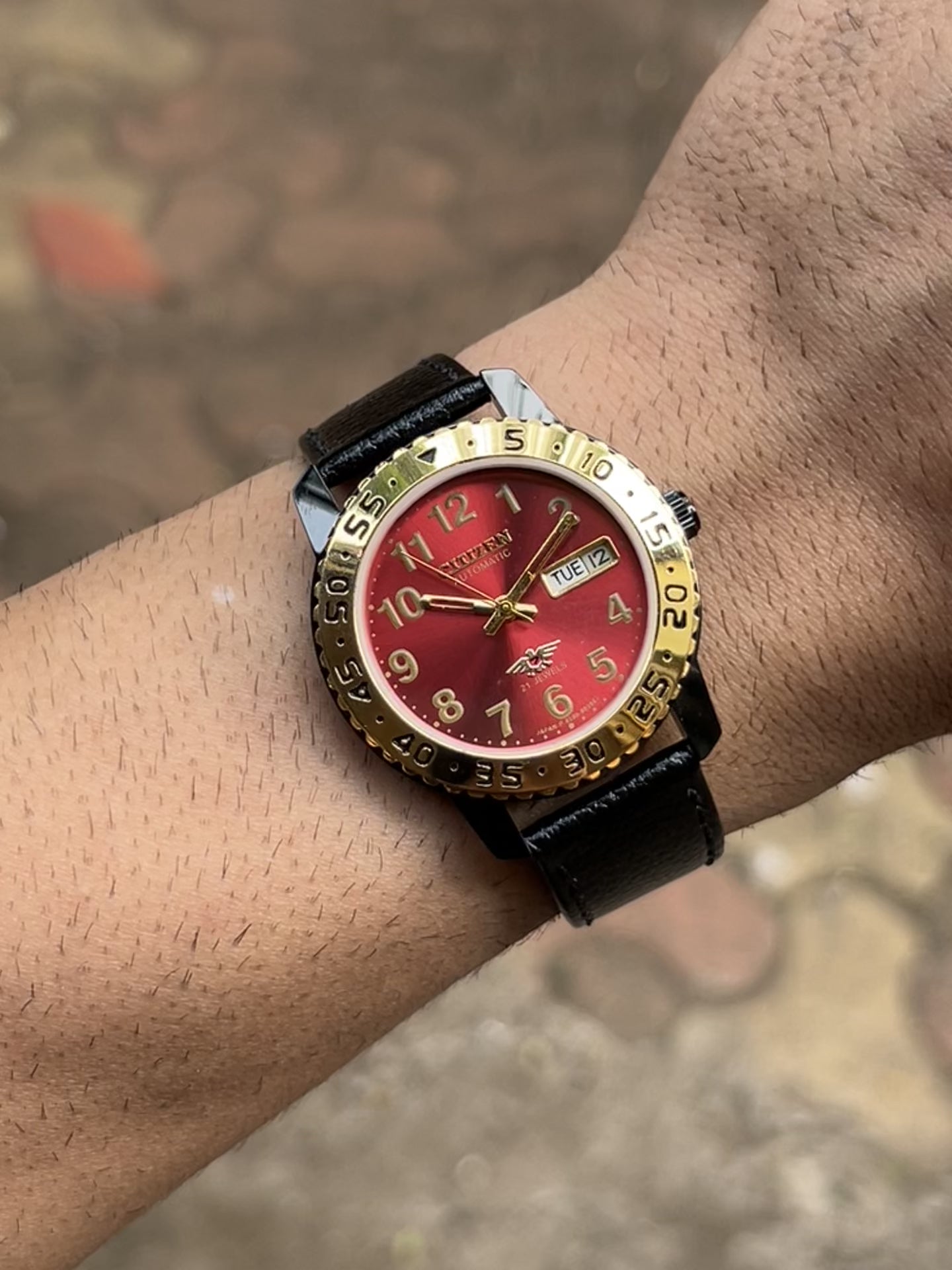 Dual Time Citizen Automatic Gold-Red Sunray
